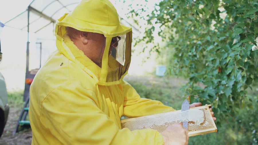 Ġorġ il-Beekeeper — Honey in Rabat